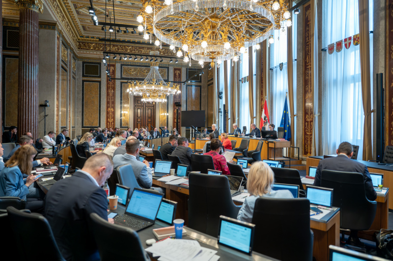 Bundesrätin Irene Partl (FPÖ) am Redner:innenpult