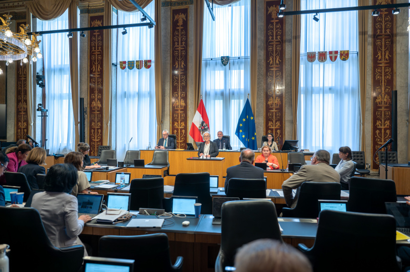 Bundesrätin Irene Partl (FPÖ) am Redner:innenpult