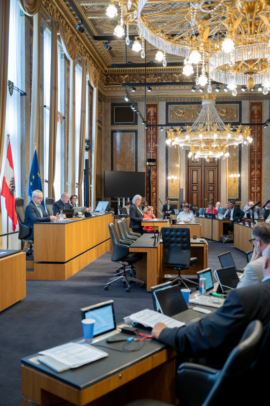 Bundesrätin Irene Partl (FPÖ) am Redner:innenpult