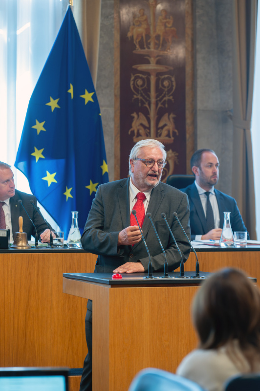 Budnesrat Christoph Matznetter (SPÖ) am Redner:innenpult