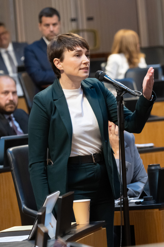 Stellungnahme Nationalratsabgeordnete Sigrid Maurer (GRÜNE)