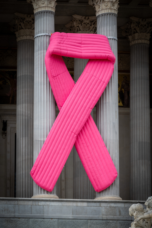 Pink Ribbon am Parlamentsgebäude