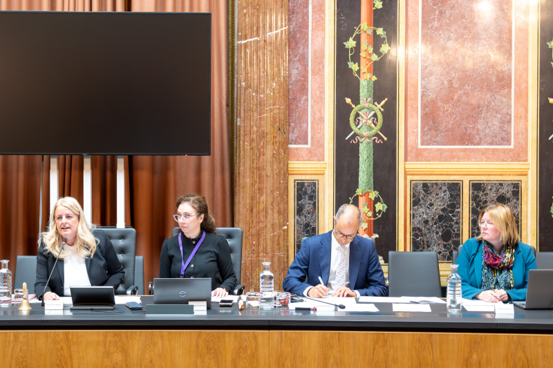 Vorsitzführung durch Bundesrätin Claudia Arpa (SPÖ) (links)