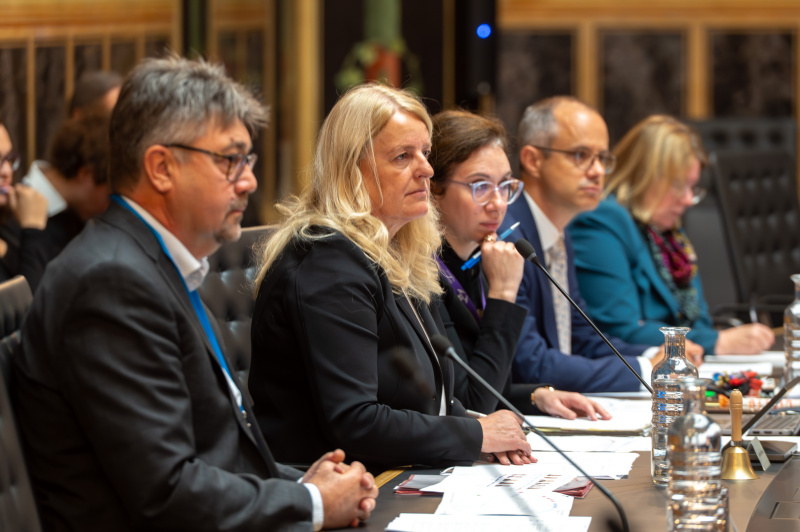 Von links: Experte Rudolf Schmid, BMLUK (am Wort), stv. Vorsitzende Bundesrätin Claudia Arpa (SPÖ), Parlamentsbedienstete
