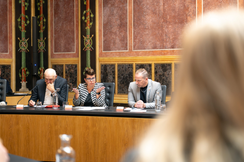 Von links: Bundesrat Manfred Mertel (SPÖ), Bundesrätin Bernadette Kerschler (SPÖ) (am Wort), Bundesrat Auer-Stüger (SPÖ)