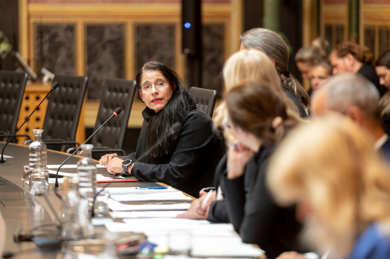 Expertin Adriane Kaufmann, WKÖ, am Wort (links)