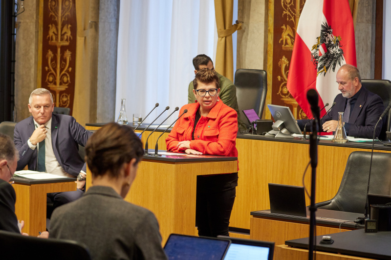Am Rednerpult: Bundesrätin Bernadette Kerschler (SPÖ)