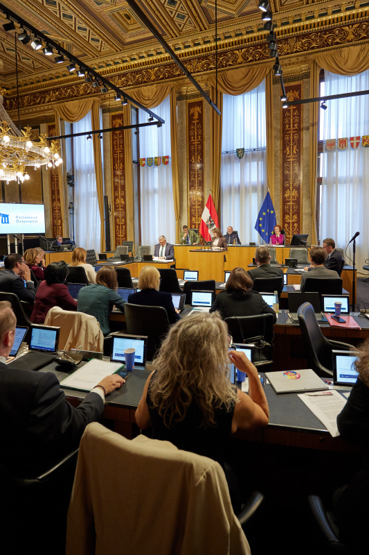 Am Rednerpult: Bundesrätin Julia Deutsch (NEOS)