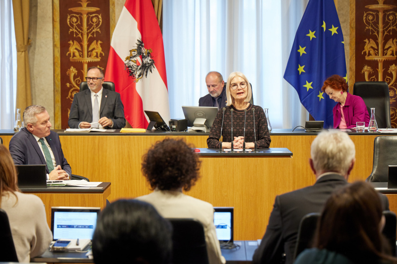 Am Rednerpult: Bundesrätin Gabriele Kolar (SPÖ)