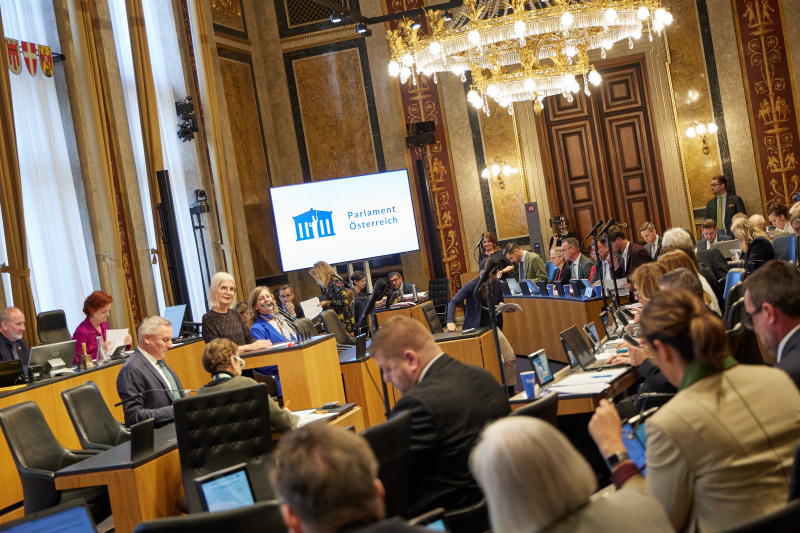 Am Rednerpult: Bundesrätin Gabriele Kolar (SPÖ)