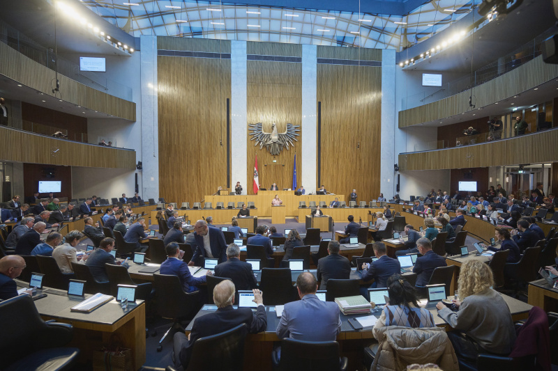 Am Rednerinnenpult Nationalratsabgeordnete Nina Tomaselli (GRÜNE). Blick Richtung Sitzungsteilnehmerinnen und -teilnehmer