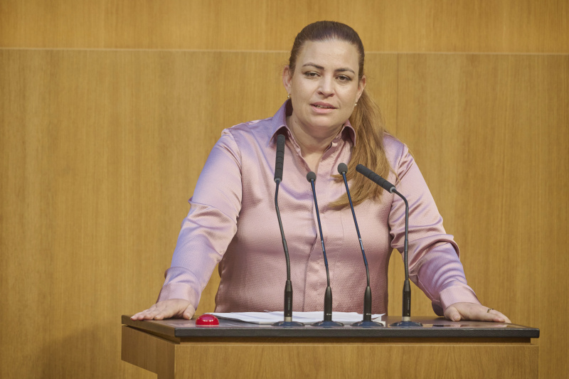 Am Rednerinnenpult Nationalratsabgeordnete Nina Tomaselli (GRÜNE)
