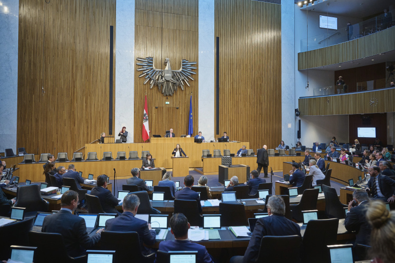 Am Rednerinnenpult Nationalratsabgeordnete Julia Herr (SPÖ). Blick Richtung Sitzungsteilnehmerinnen und -teilnehmer