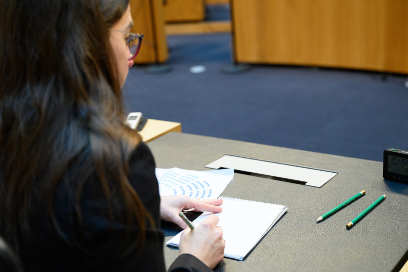 Stenografin im Plenum