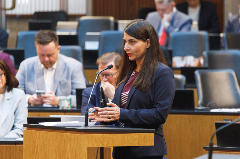 Fragestellung Nationalratsabgeordnete Meri Disoski (GRÜNE)