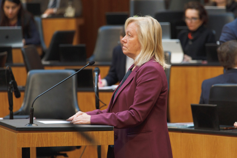 Fragestellung Nationalratsabgeordnete Verena Nussbaum (SPÖ)
