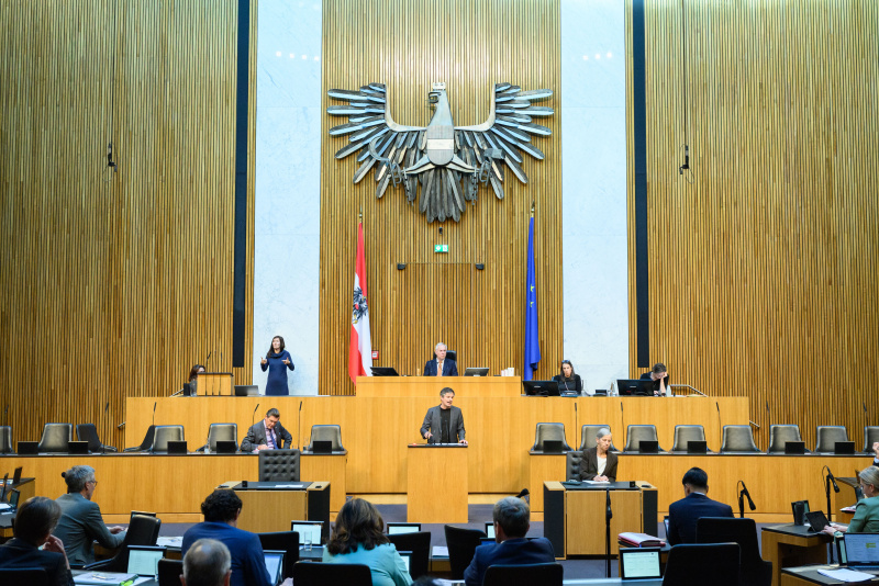 Am Rednerpult: Nationalratsabgeordneter Wolfgang Moitzi (SPÖ)