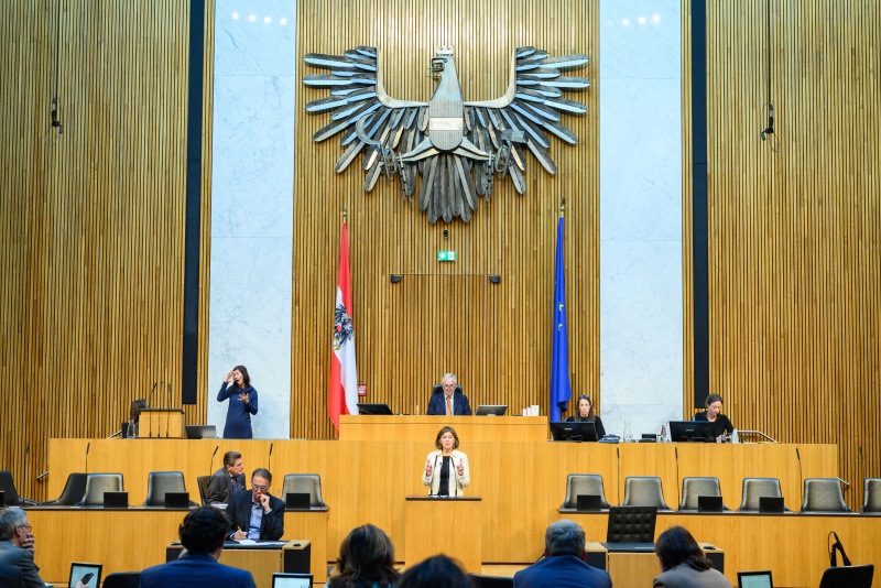 Am Rednerinnenpult: Nationalratsabgeordnete Elisabeth Götze (GRÜNE)