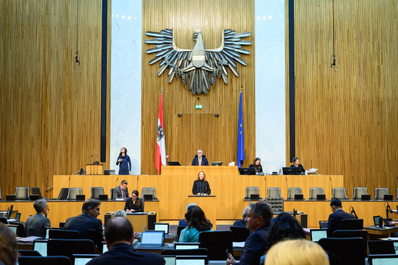 Am Rednerinnenpult: Nationalratsabgeordnete Pia Maria Wieninger (SPÖ)