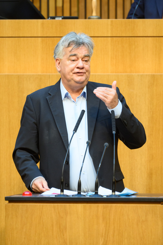 Am Rednerpult: Nationalratsabgeordneter Werner Kogler (GRÜNE)