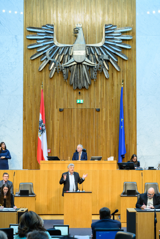 Am Rednerpult: Nationalratsabgeordneter Werner Kogler (GRÜNE)