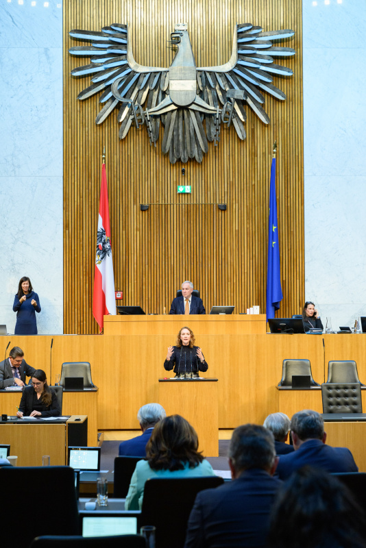 Am Rednerinnenpult: Nationalratsabgeordnete Pia Maria Wieninger (SPÖ)