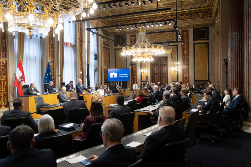 Blick Richtung Sitzungsteilnehmerinnen und -teilnehmer