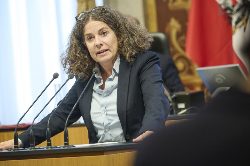 Am Rednerinnenpult Bundesrätin Elisabeth Kittl (GRÜNE)