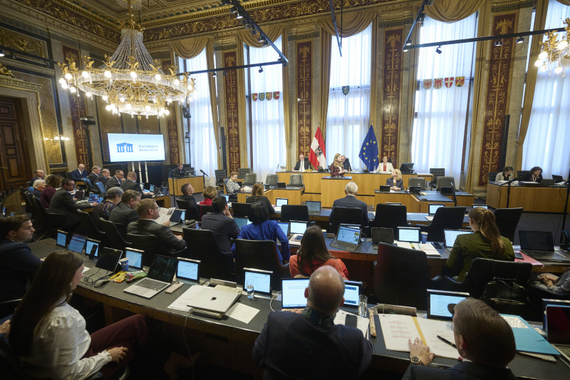 Am Rednerinnenpult Bundesrätin Amelie Muthsam (SPÖ). Blick Richtung Sitzungsteilnehmerinnen und -teilnehmer