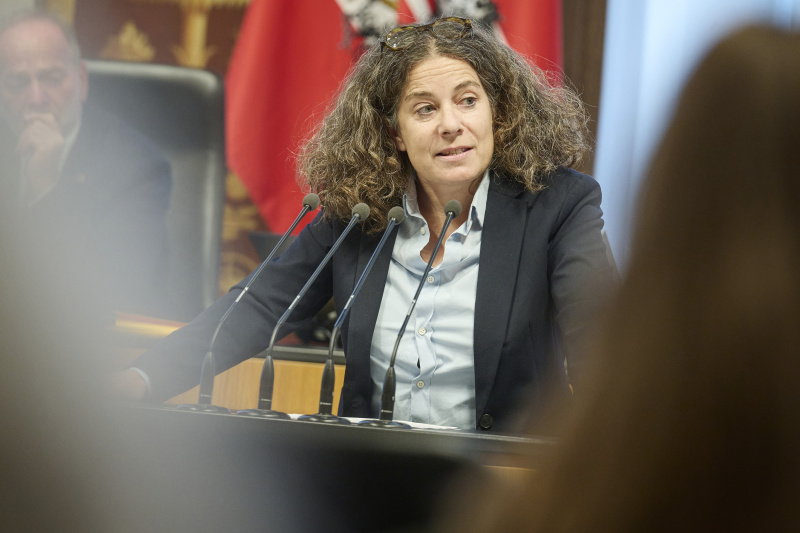 Am Rednerinnenpult Bundesrätin Elisabeth Kittl (GRÜNE)