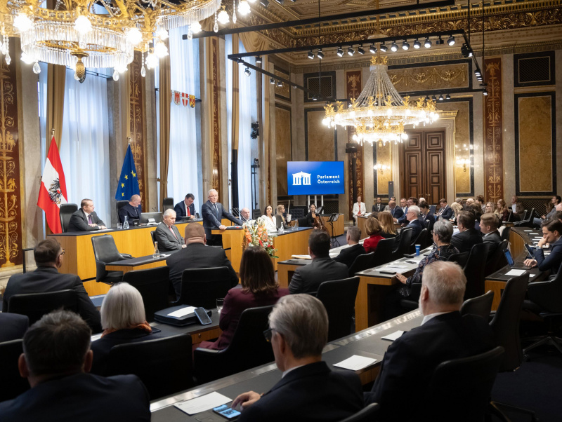 Blick Richtung Sitzungsteilnehmerinnen und -teilnehmer  