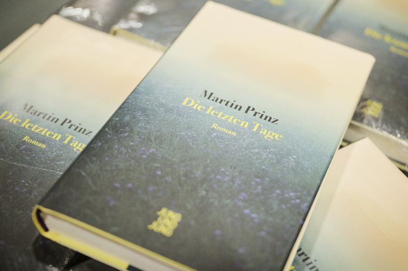 „Die letzten Tage“ von Martin Prinz