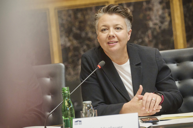 Statements der Bereichssprecherinnen und Bereichssprecher für Volksgruppen der Parlamentsfraktionen. Nationalratsabgeordnete Olga Voglauer (GRÜNE)