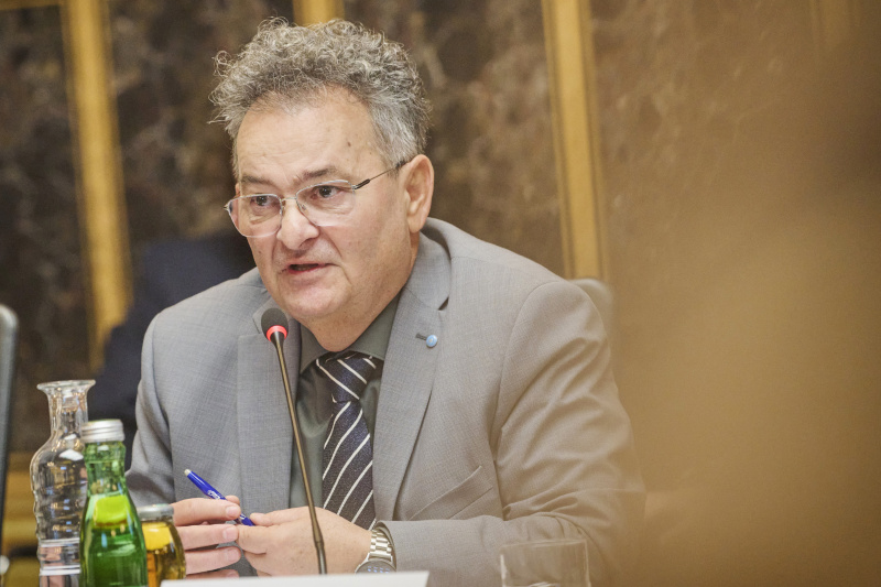 Statement Volksgruppenbeirat Romnja und Roma Emmerich Gärtner-Horvath