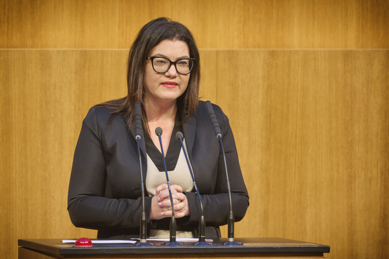Am Rednerinnenpult: Nationalratsabgeordnete Melanie Erasim (SPÖ)