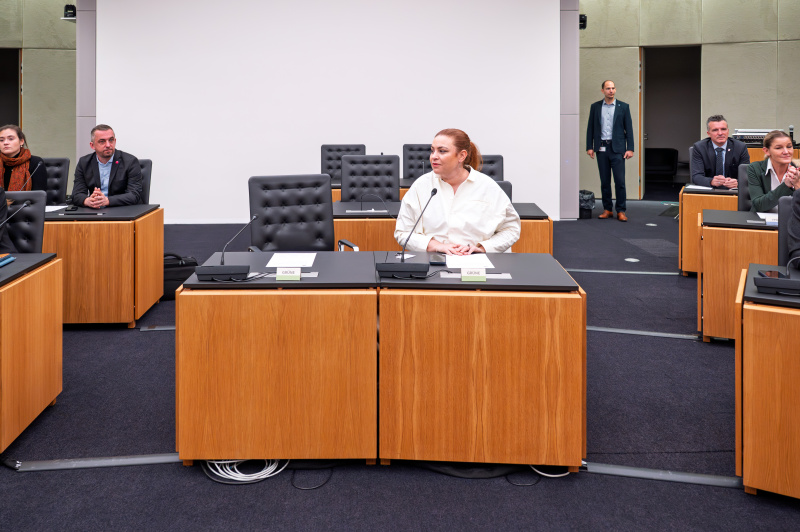 Ausschussmitglied der Grünen. Nationalratsabgeordnete Nina Tomaselli (GRÜNE)