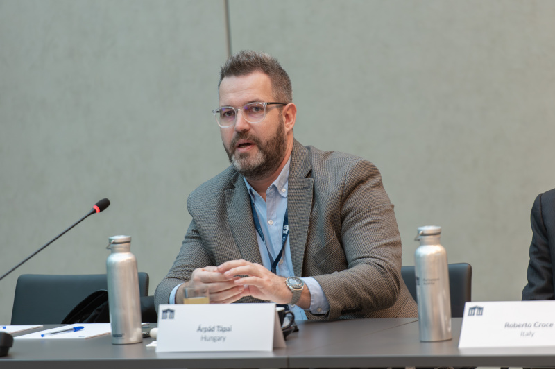 Introduction of participants. Arpäd Töpai - Hungary