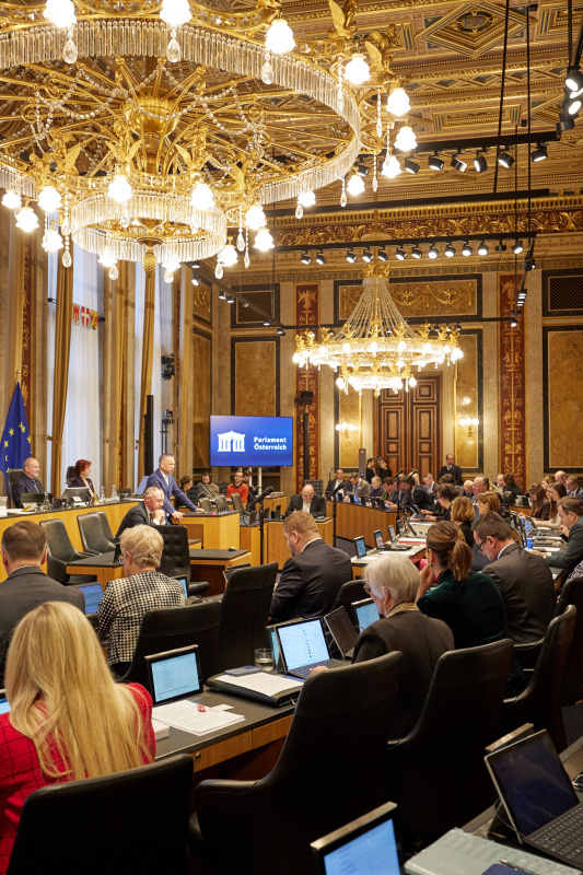 Am Rednerpult: Vorsitzender der Bundesratsfraktion Harald Himmer (ÖVP)