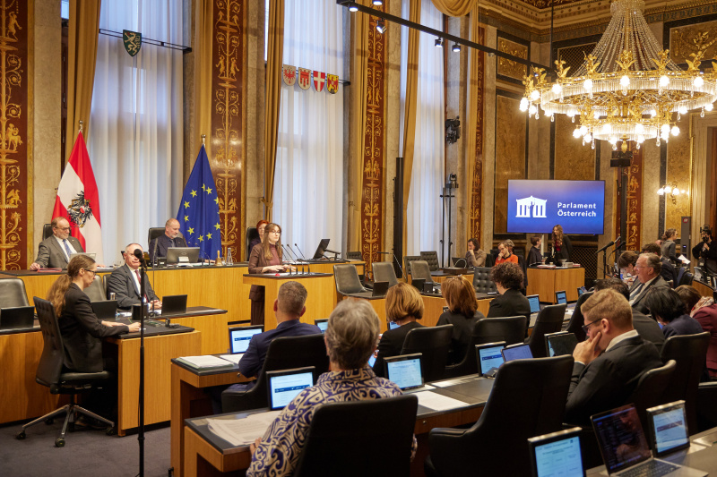 Am Rednerpult: Bundesrätin Julia Deutsch (NEOS)