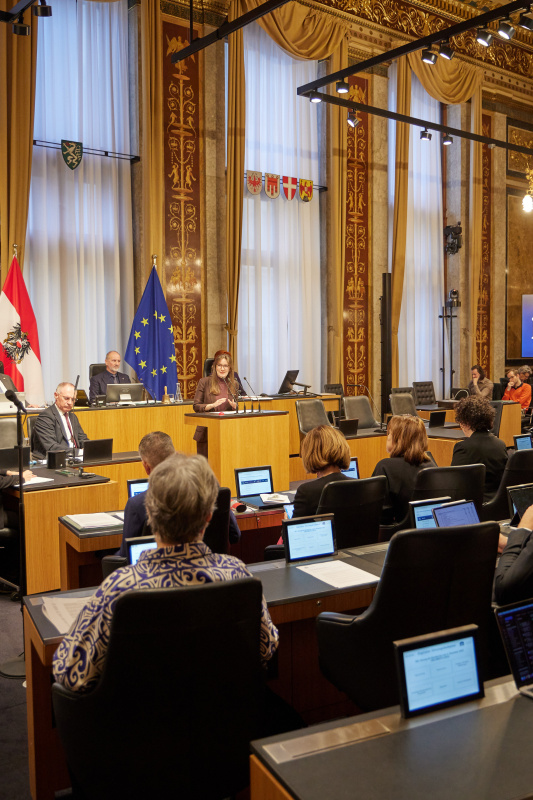 Am Rednerpult: Bundesrätin Julia Deutsch (NEOS)