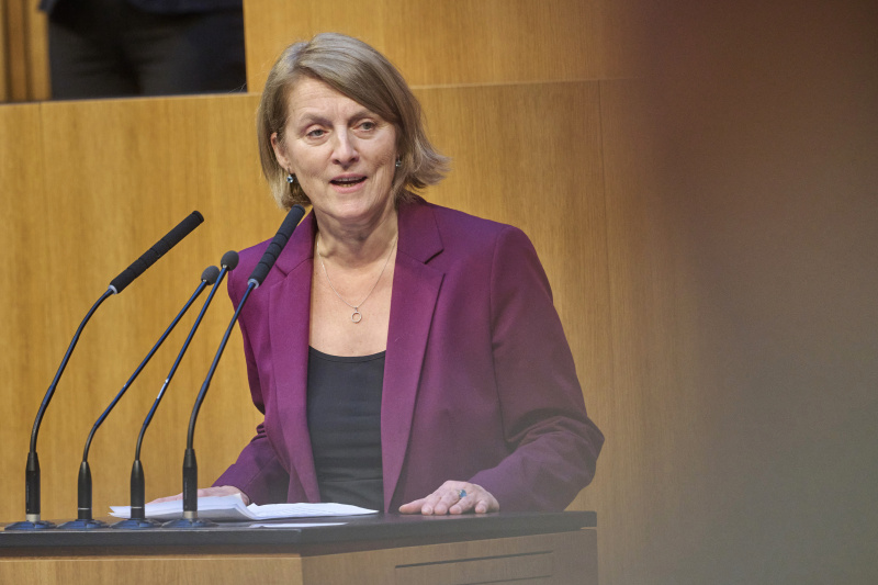 Am Rednerinnenpult Europaabgeordnete Evelyn Regner (SPÖ)