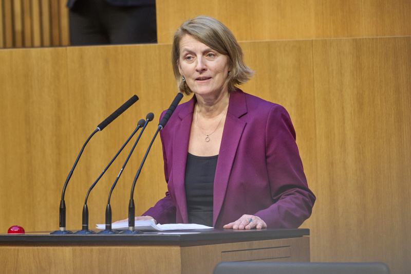 Am Rednerinnenpult Europaabgeordnete Evelyn Regner (SPÖ)