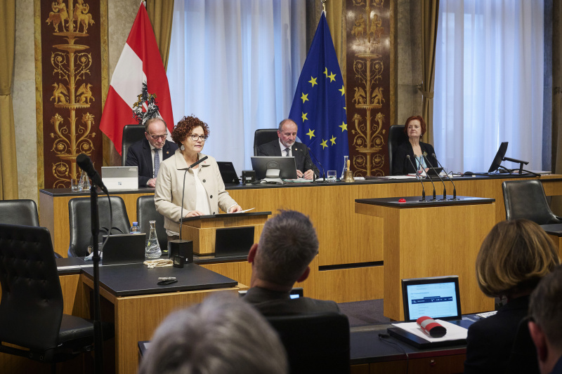 Am Rednerinnenpult Staatssekretärin Elisabeth Zehetner (ÖVP)