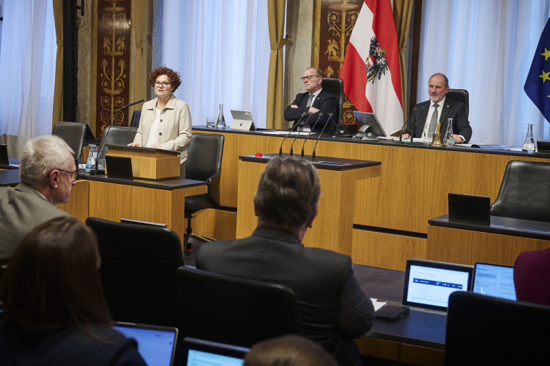 Am Rednerinnenpult Staatssekretärin Elisabeth Zehetner (ÖVP)