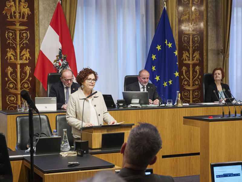 Staatssekretärin Elisabeth Zehetner spricht im Bundesrat