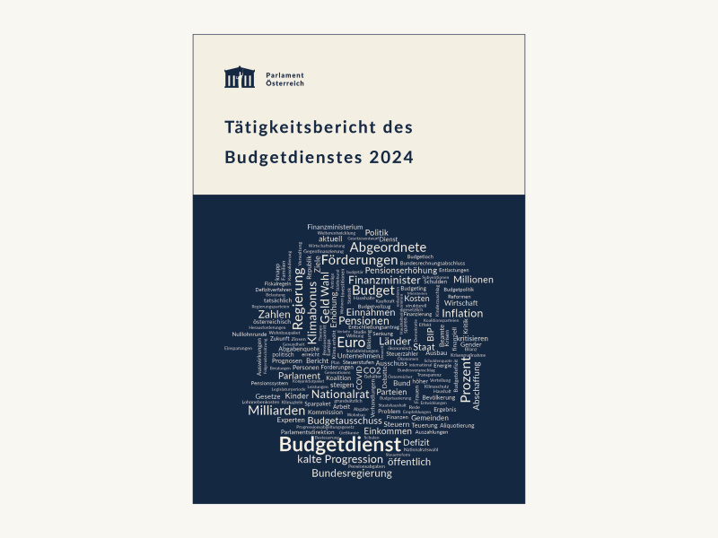 Tätigkeitsbericht des Budgetdienstes 2024