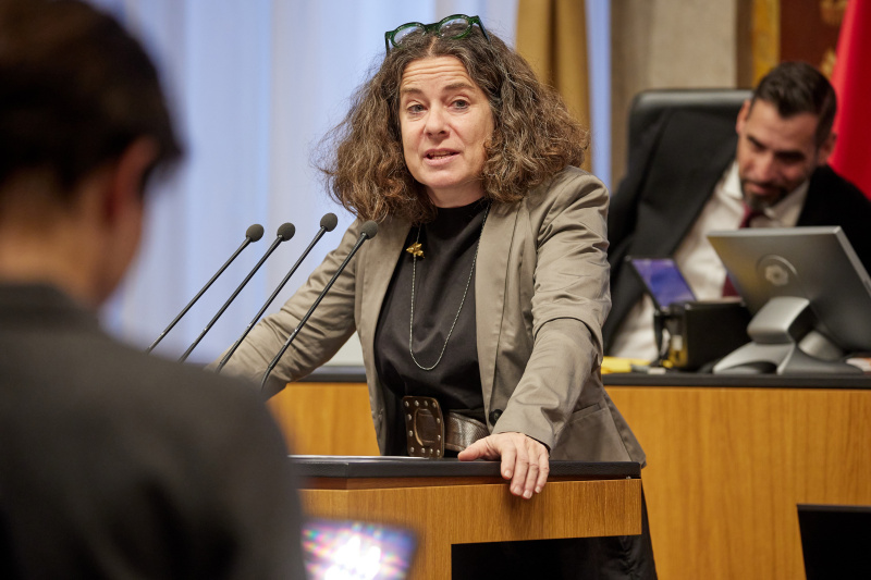 Am Rednerpult: Bundesrätin Elisabeth Kittl (GRÜNE)