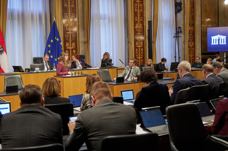 Am Rednerpult: Bundesrätin Julia Deutsch (NEOS)