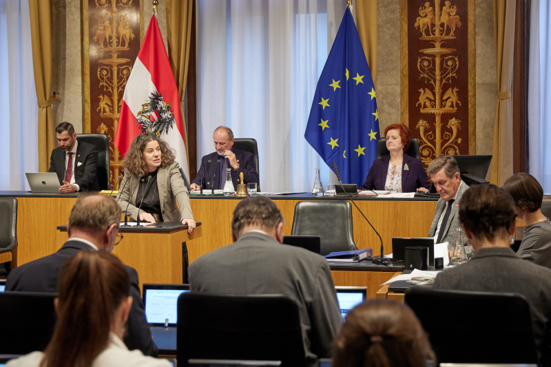 Am Rednerpult: Bundesrätin Elisabeth Kittl (GRÜNE)