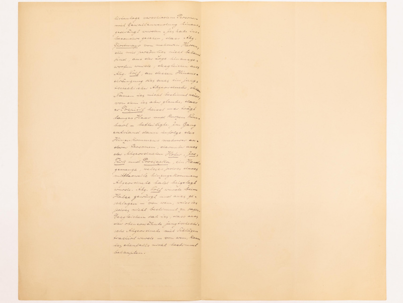 Protokoll Nr. 1: Aussage des Abgeordneten Dr. Viktor Ritter von Hochenburger am 27.01.1899
